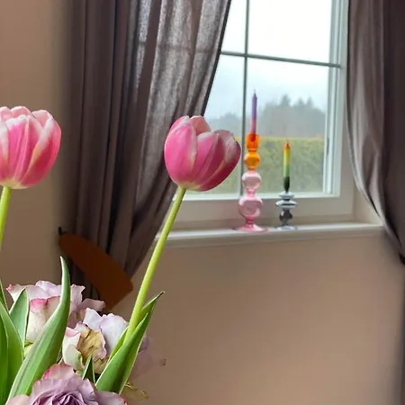 Casa45 Oda ve Kahvaltı 3*