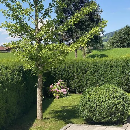 Oda ve Kahvaltı Casa45 3*