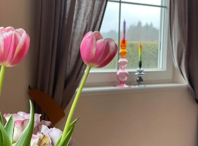 Casa45 住宿加早餐酒店 3*