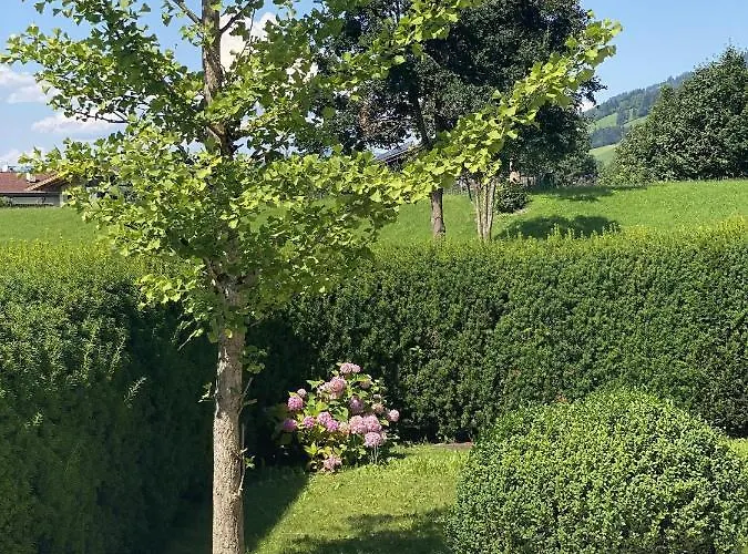 לינה וארוחת בוקר Casa45 3*